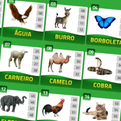 Voto Consciente